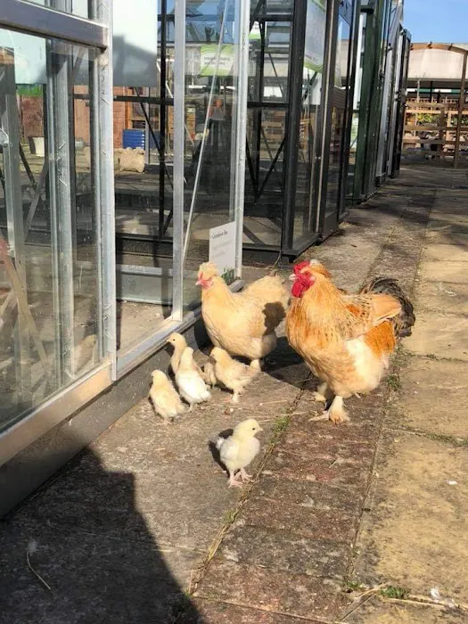 Woodmeadow Pets Picture 4