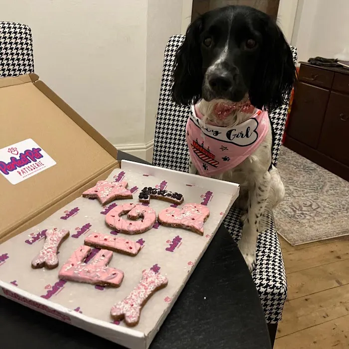 Perfect Pet Patisserie & Gifts Picture 2