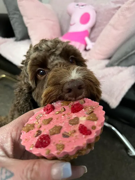 Perfect Pet Patisserie & Gifts Picture 10