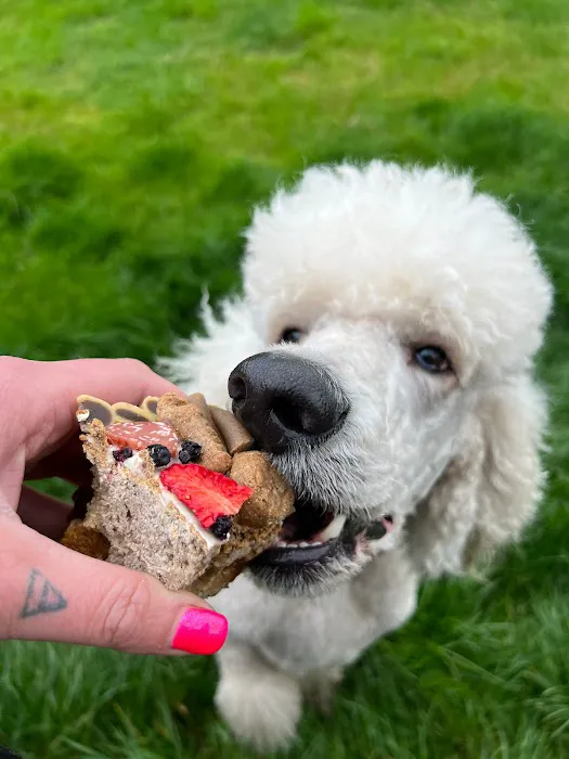 Perfect Pet Patisserie & Gifts Picture 7