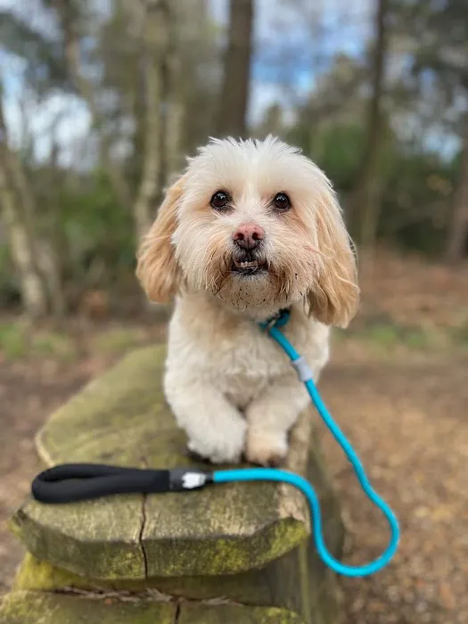 Flexibull Fashion and Feeds Picture 1