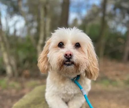 Flexibull Fashion and Feeds