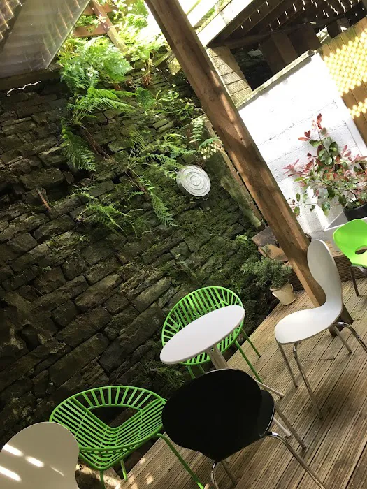 Paws on Sofas Picture 3