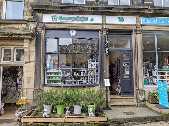 Paws on Sofas Picture 1