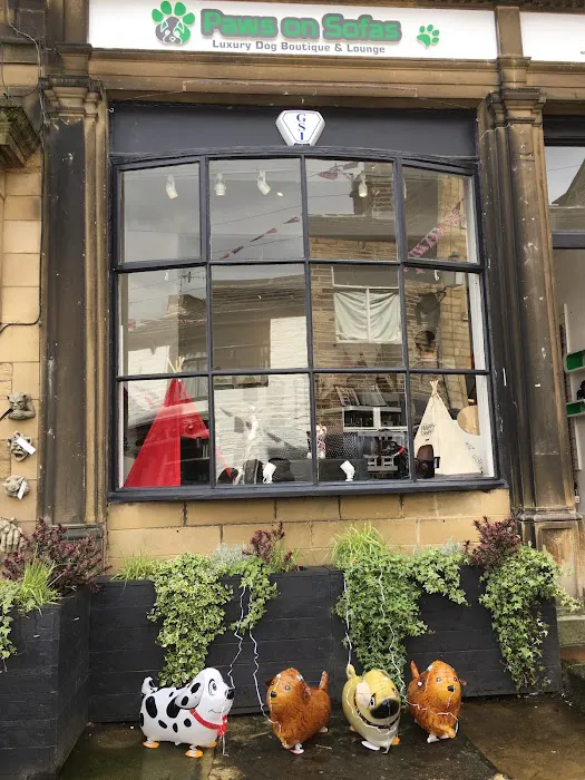 Paws on Sofas Picture 2