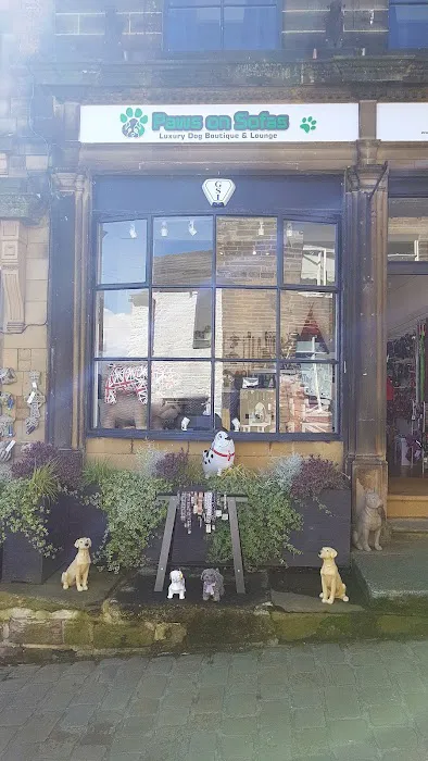 Paws on Sofas Picture 4