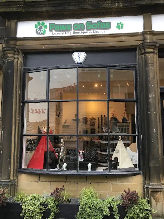 Paws on Sofas Picture 7