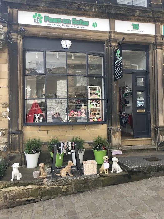 Paws on Sofas Picture 9