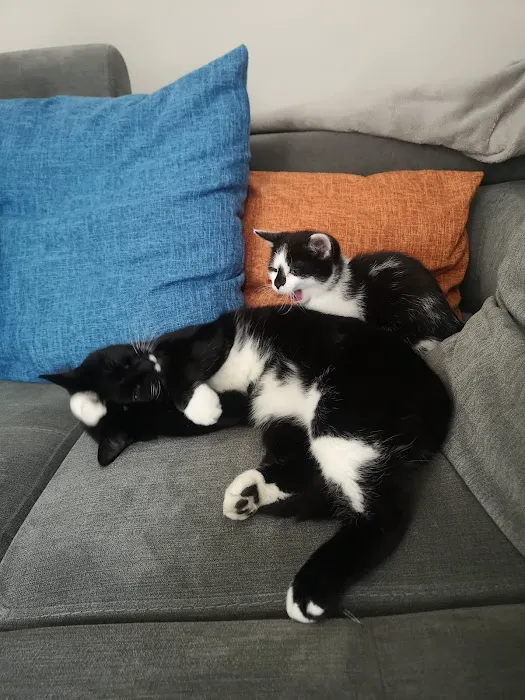 Worth Valley Pet Shop Picture 2