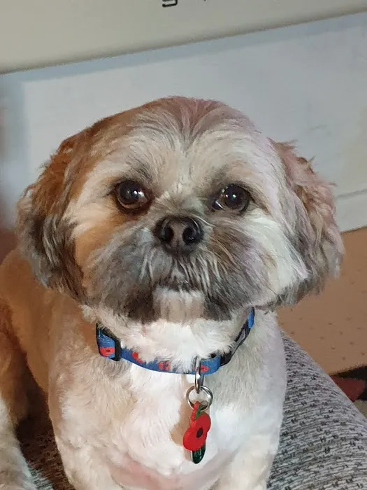 Worth Valley Pet Shop Picture 3