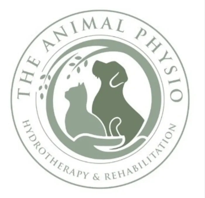The Animal Physio NI Picture 1