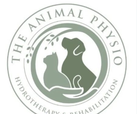 The Animal Physio NI