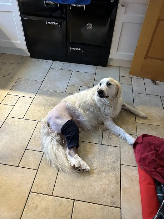 Donard Veterinary Clinic Picture 5