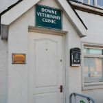 Downe Veterinary Clinic