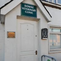 Downe Veterinary Clinic ico