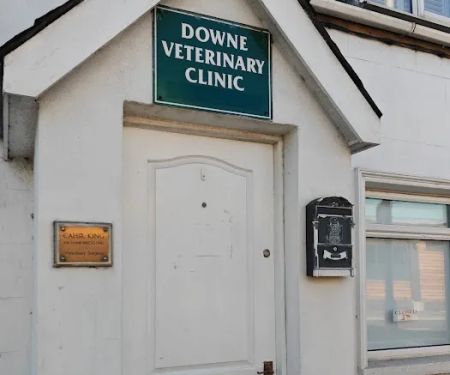 Downe Veterinary Clinic