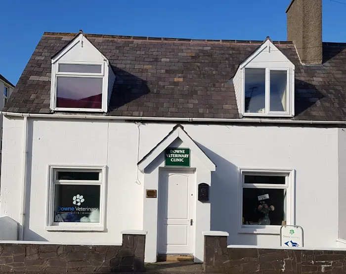 Downe Veterinary Clinic Picture 3