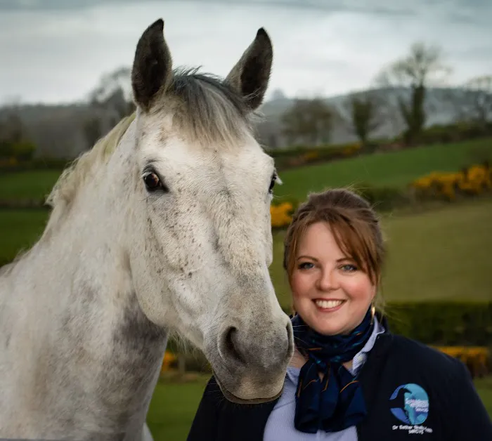 Shanaghan Veterinary Services Picture 1