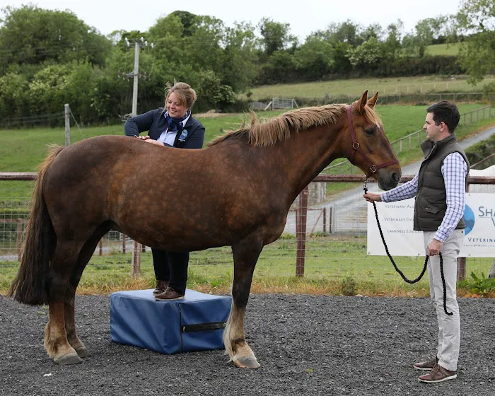 Shanaghan Veterinary Services Picture 2