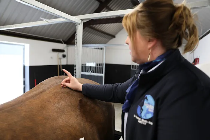 Shanaghan Veterinary Services Picture 8