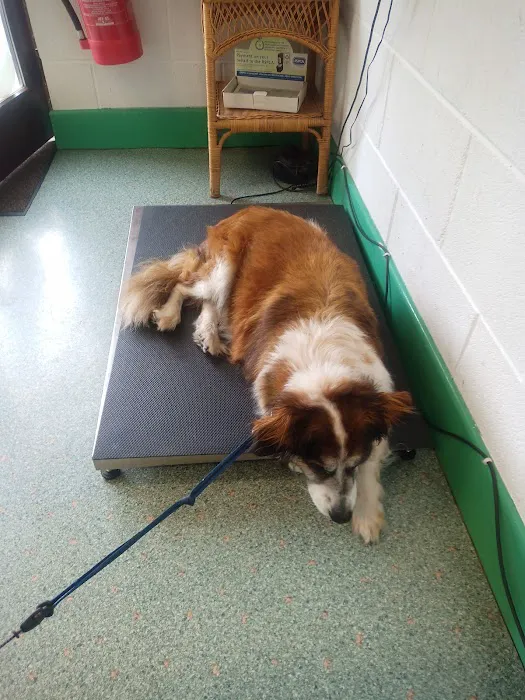 The Veterinary Clinic Picture 4