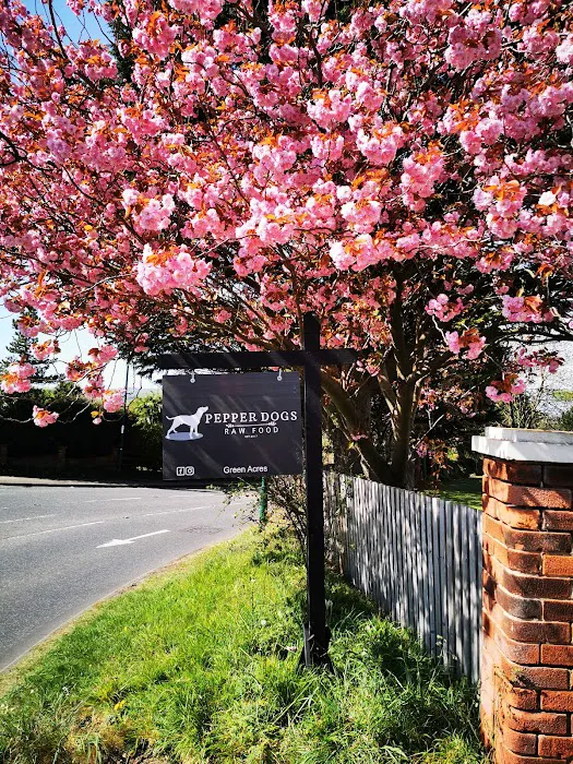 Pepper Dogs Raw Food Picture 1