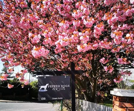 Pepper Dogs Raw Food