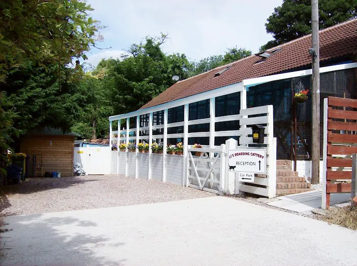 JJ's Boarding Cattery Picture 6