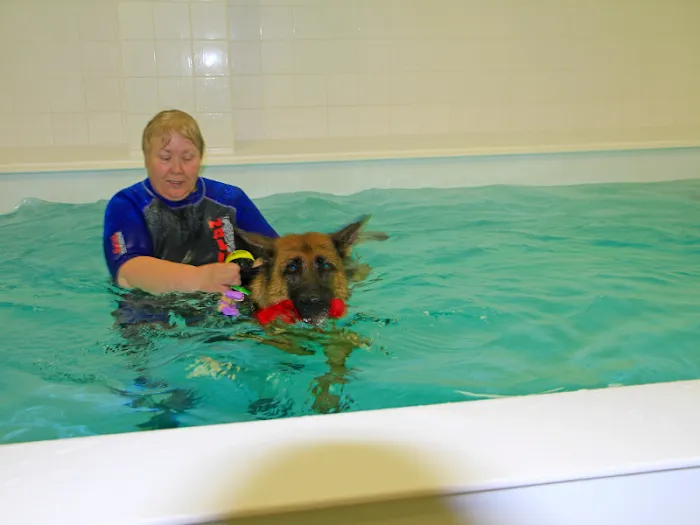 Chesterfield Hydrotherapy Referral Centre Picture 3