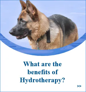 Chesterfield Hydrotherapy Referral Centre Picture 5