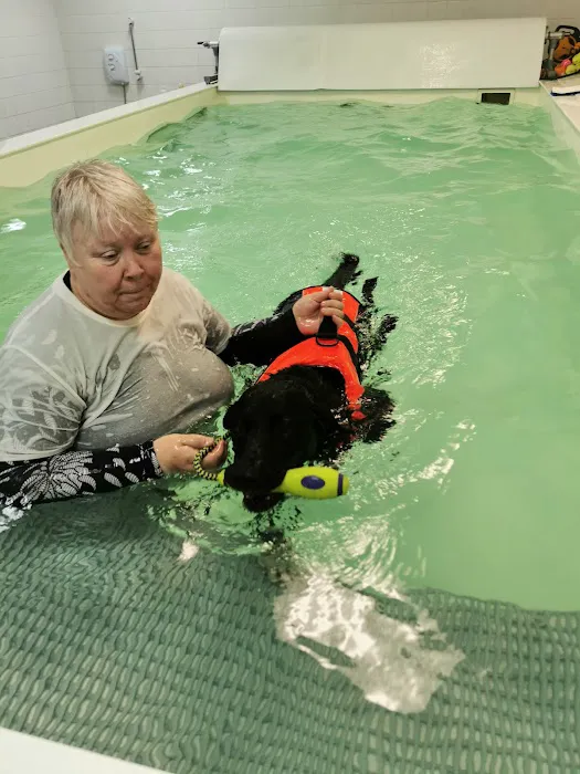 Chesterfield Hydrotherapy Referral Centre Picture 7