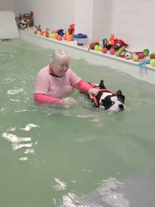 Chesterfield Hydrotherapy Referral Centre Picture 9