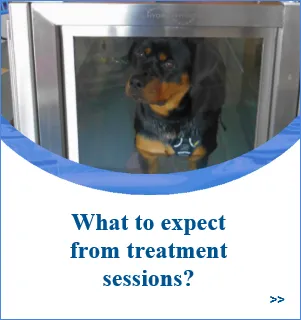 Chesterfield Hydrotherapy Referral Centre Picture 8