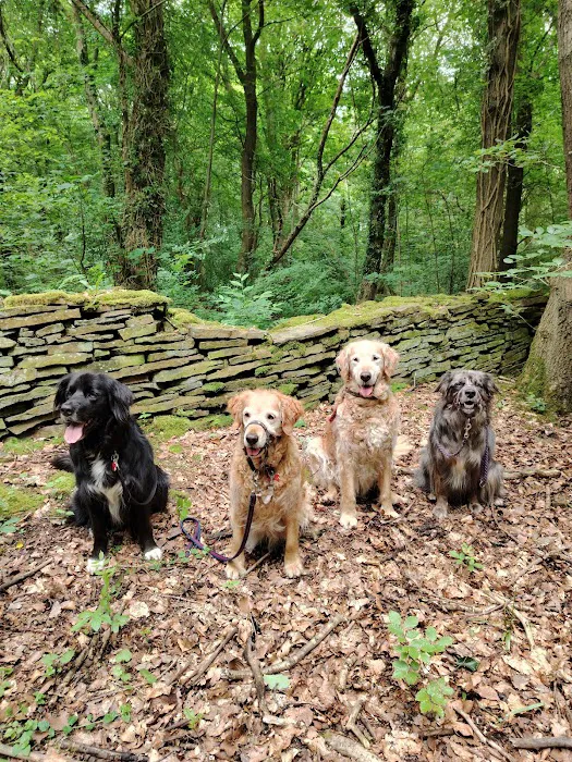 Prime Veterinary Practice Picture 1
