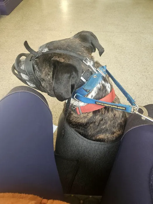 Prime Veterinary Practice Picture 5