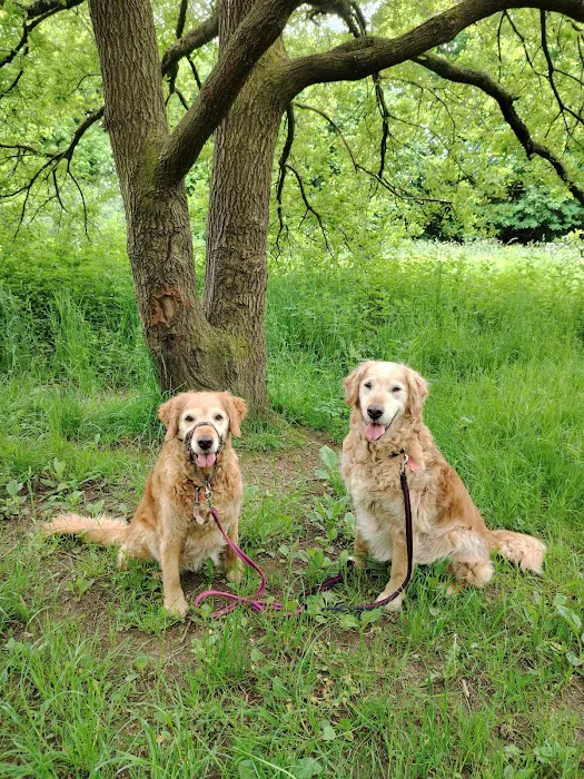 Prime Veterinary Practice Picture 7