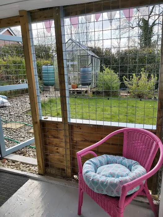 Bridle Cottage Cattery Picture 3