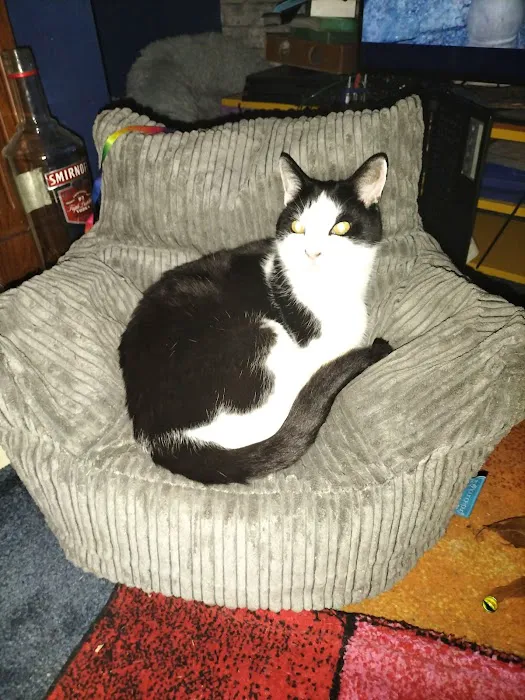 Vets for Pets Chesterfield Ravenside Picture 3