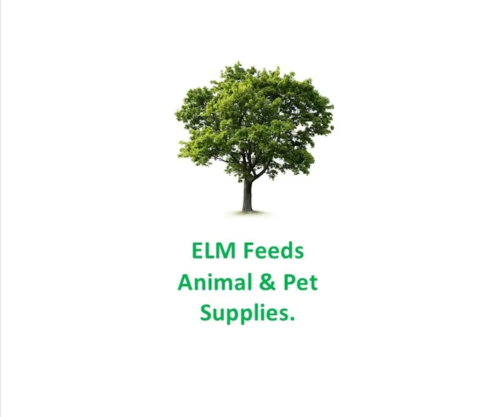 Rutland Veterinary Centre Picture 8