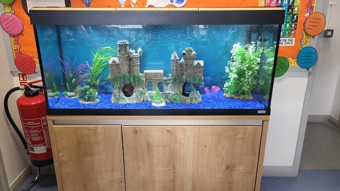 Fintastic aquariums limavady co derry Picture 1