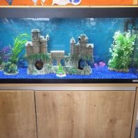 Fintastic aquariums limavady co derry ico