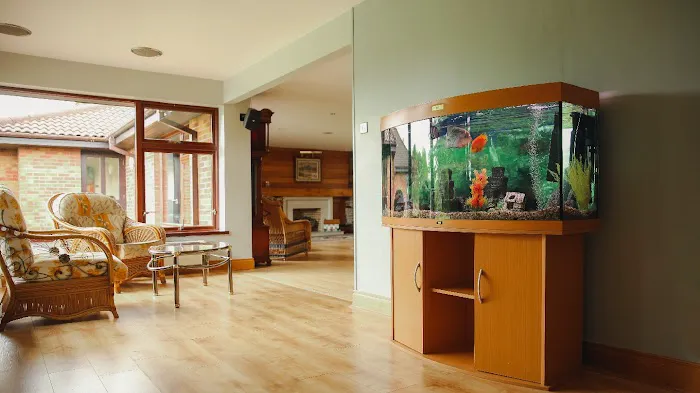 Fintastic aquariums limavady co derry Picture 3