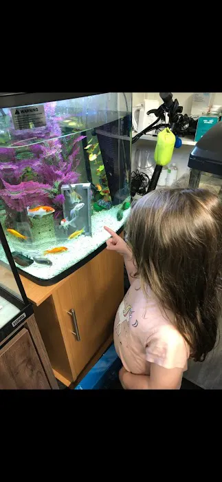 Fintastic aquariums limavady co derry Picture 8