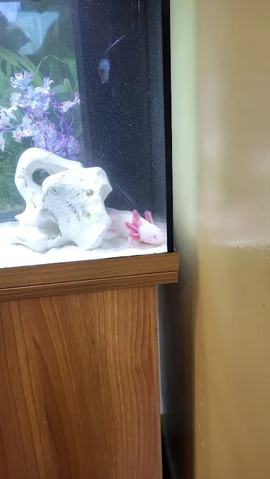 Fintastic aquariums limavady co derry Picture 6