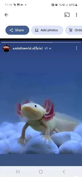 Fintastic aquariums limavady co derry Picture 7