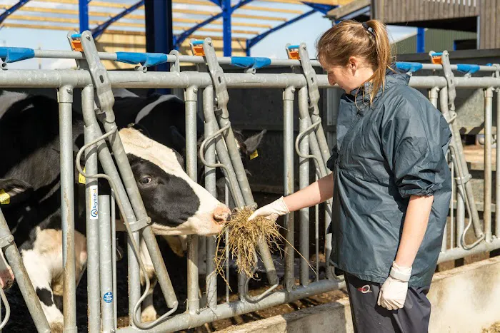 Cross Counties Farm Vets - Welford Picture 1