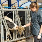 Cross Counties Farm Vets - Welford