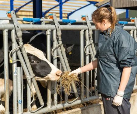 Cross Counties Farm Vets - Welford