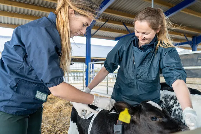 Cross Counties Farm Vets - Welford Picture 6