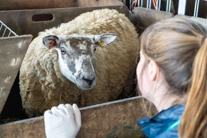 Cross Counties Farm Vets - Welford Picture 5